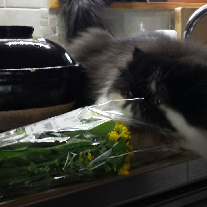 Dde57362 431d 45eb 8d57 088b61a2970f 1521806596204