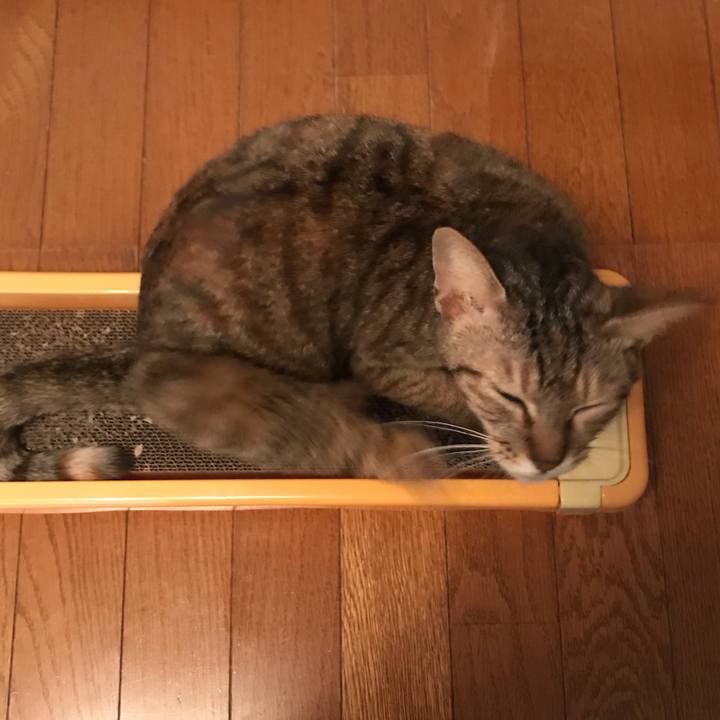 Dde59c87 5ad6 4c40 aacb 77f7c4d58f9c 1580303136654