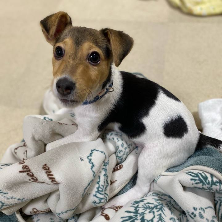 Dde59cc6 1554 454a a9f0 44b8e90b674e 1743765173824