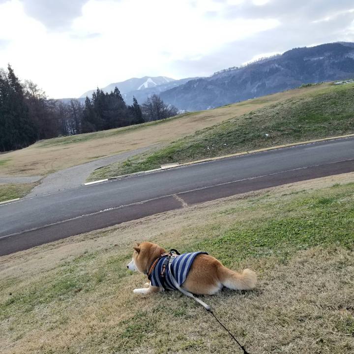 Dde5d07a 1f7c 4433 a050 bc308b80775d 1639547199067