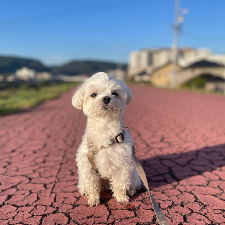 Dde5dd3c 7734 4a29 8d48 790b5c613876 1761776985854