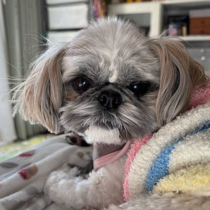 Dde61ae0 9166 48ad a15c 6d8b31cf0007 1737346887151