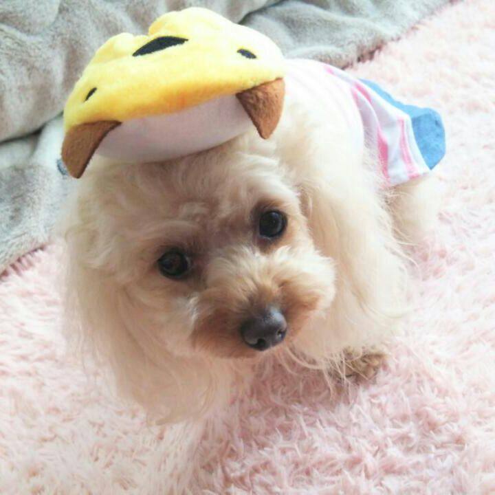 Dde65ccd 6150 488c 9329 1247d7bf7eae 1524745869451