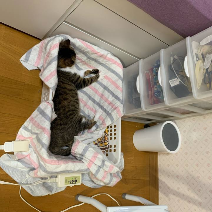 Dde6768f da71 4c89 9225 35c04fac9801 1624450123249