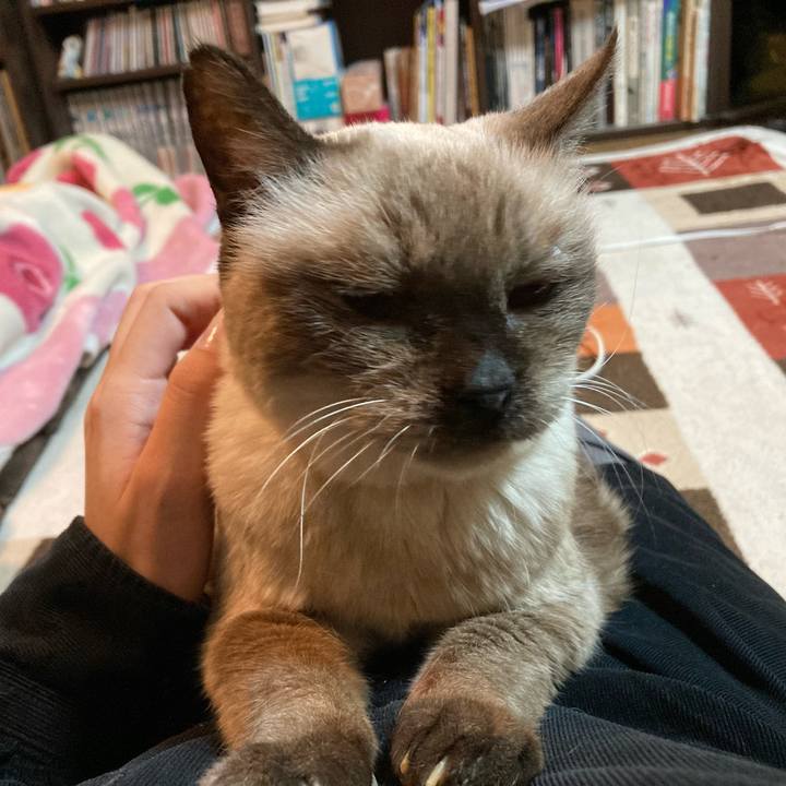 Dde67bad cf64 4817 b79d e6d5175a3043 1672110147039