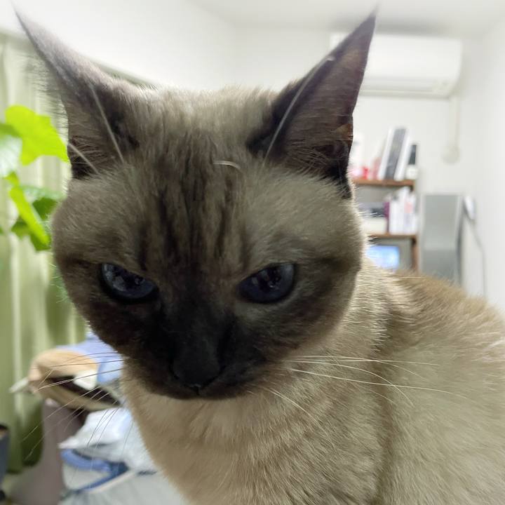 Dde6a068 c00f 467d 8201 d8ba19419669 1761134266969