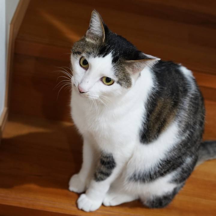 Dde6c0f0 7a88 4fc3 9fdd e331294c4939 1572997442947