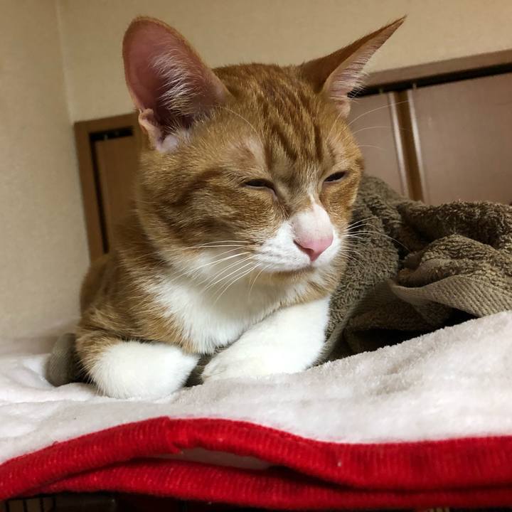 Dde6f19b 2b3e 4d49 8edc caabc44a1359 1549712539293