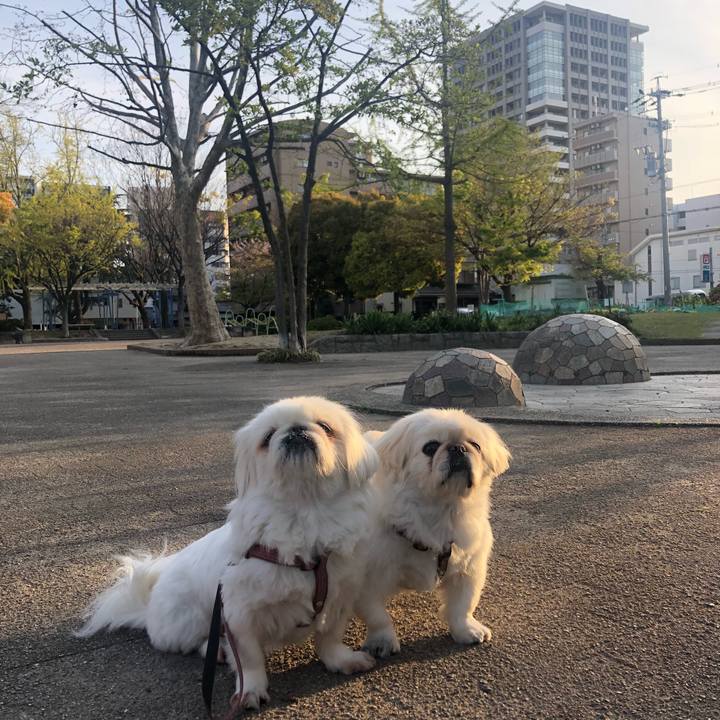 Dde6f207 927b 4b61 a893 f9902ca91d5f 1587005777073