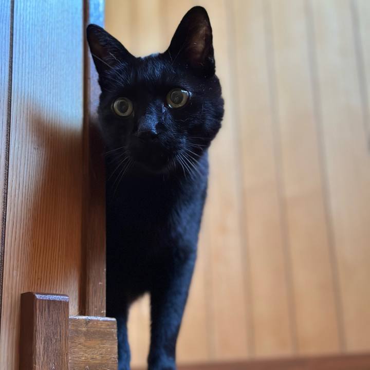 Dde70ea5 89aa 46e6 9c5d c6db5080cd01 1664412453708