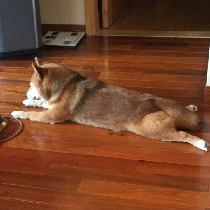 Dde72ebb baad 44d3 b334 1df2716eca21 1589348748555