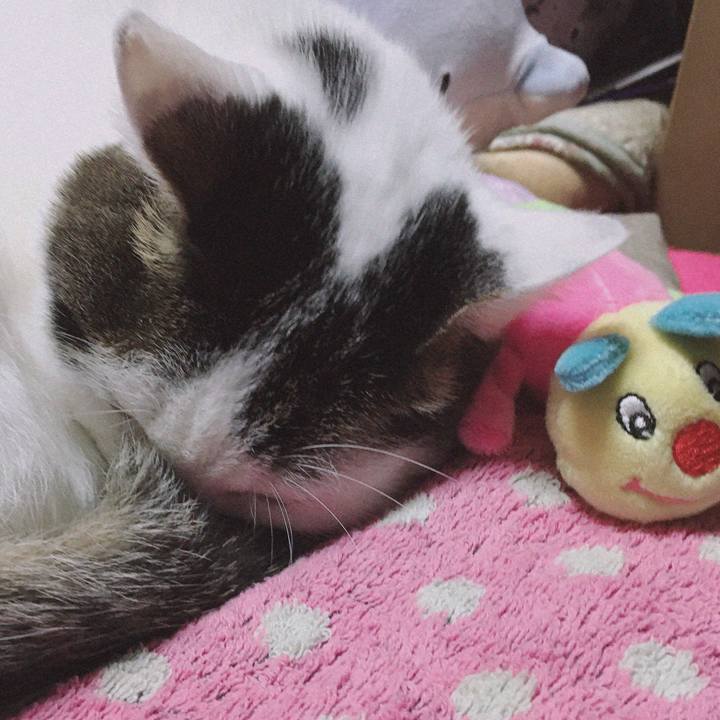 Dde75643 ed2b 4179 86a9 51400f5ec7bf 1573043900501