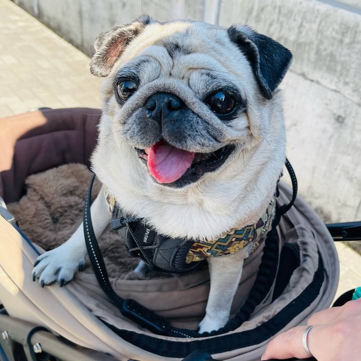 Dde78aa0 42a1 4845 9241 afb99eda01f3 1771655183182