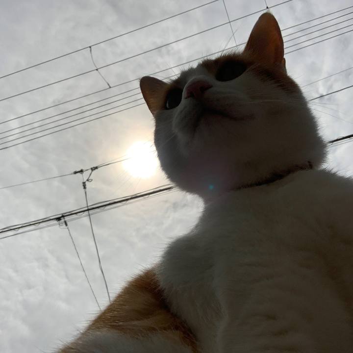 Dde7d00c b5ae 4e0f 805f f8f70ac2386c 1596094246912