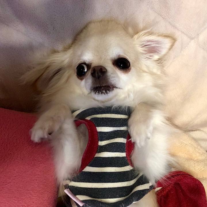 Dde7d67a fa6e 44aa 9103 a7319695359e 1531228084186