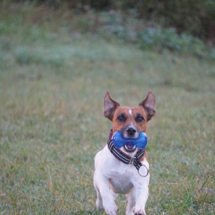 Dde7ddcf 40e4 42a2 87de 4b3fdb91eee0 1509921091811