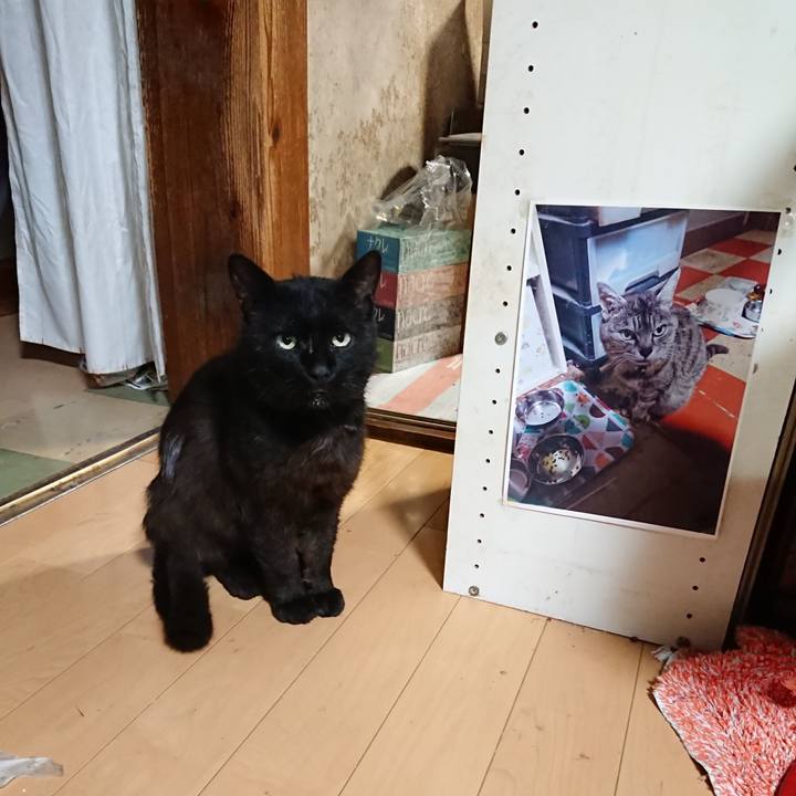 Dde7e83e c7d9 4ae3 9d76 7fa2f04d4bc1 1624361852787