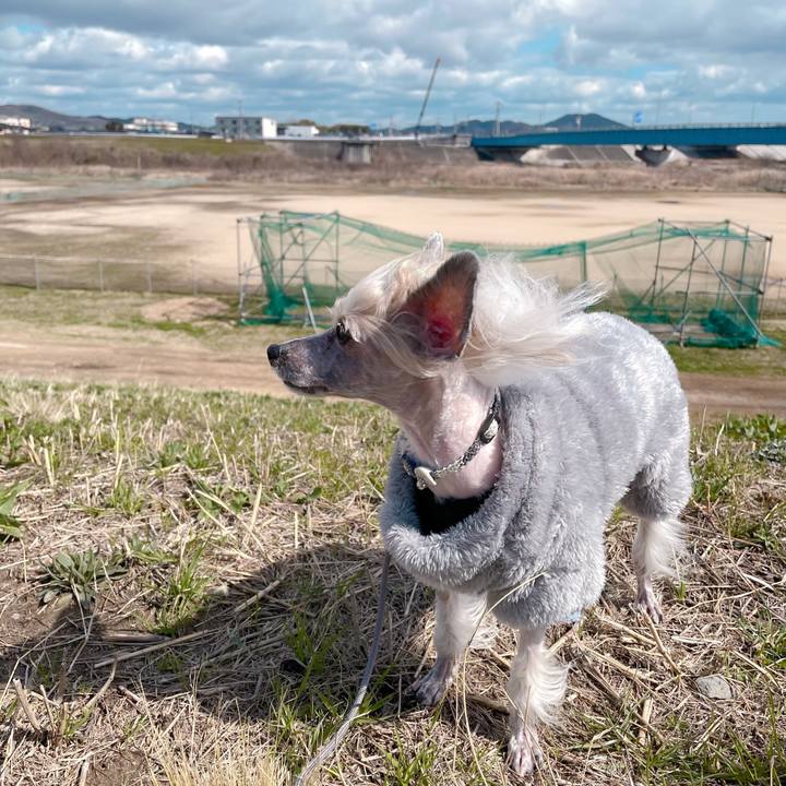 Dde7ec86 e059 4630 a34d b269d2eaf9b9 1772603686310