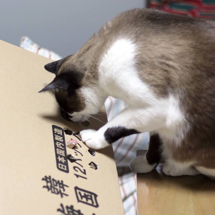 Dde7f1e4 df04 41ce 93c1 055a11041717 1511967573004