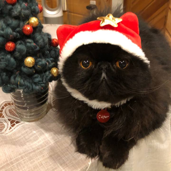 Dde7f4cd c6cb 4b57 bbe3 f6ab73e30b3d 1544353780343