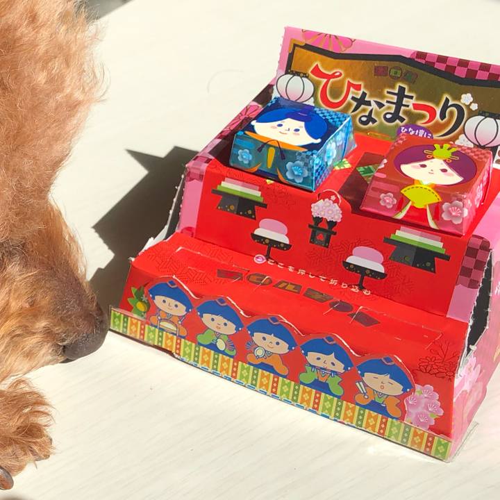 Dde7fb47 dba6 48fe abd5 a44dce09873e 1614741153369