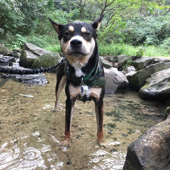 Dde82ad0 91e3 407e 8370 68cb1945742f 1537771751745