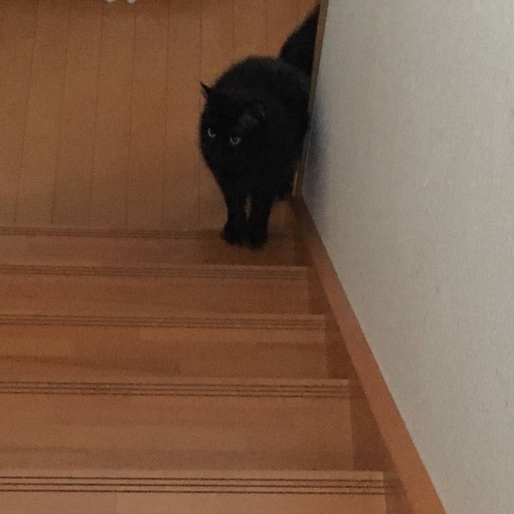 Dde847d4 e5c1 4fe2 9f06 5bb6c1b3e8e6 1517705472944