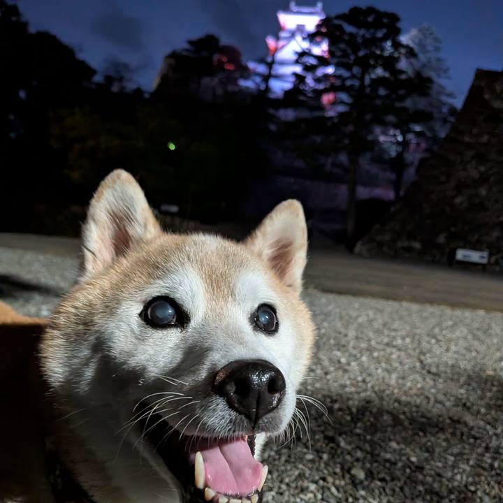 Dde887af ae9b 4d9f bda7 dfb6c43c262e 1762163428651