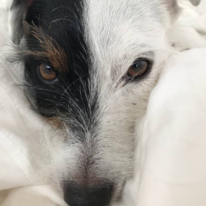 Dde888af 7b0c 43e7 83ff 69aa4ee411ce 1509057973378