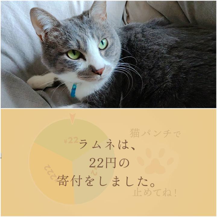 Dde89d50 ba57 4e5f 87c8 305ca52155d5 1708046554175