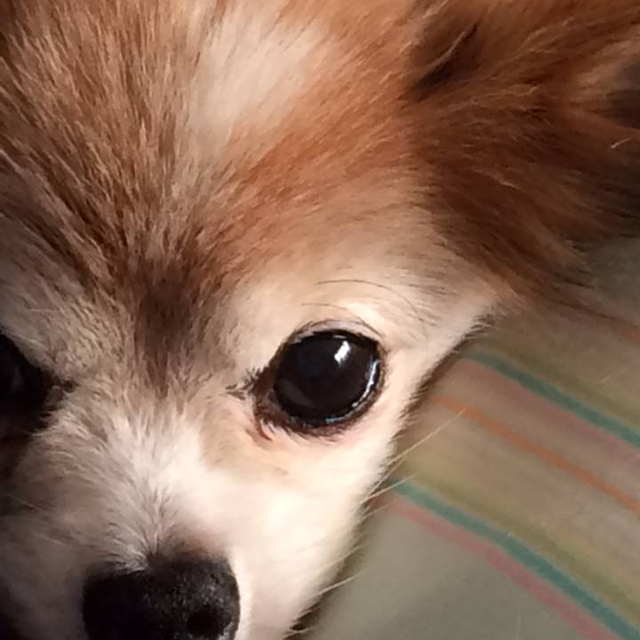 Dde8a152 edb3 4d24 91c9 391ec55e48db 1546140707578