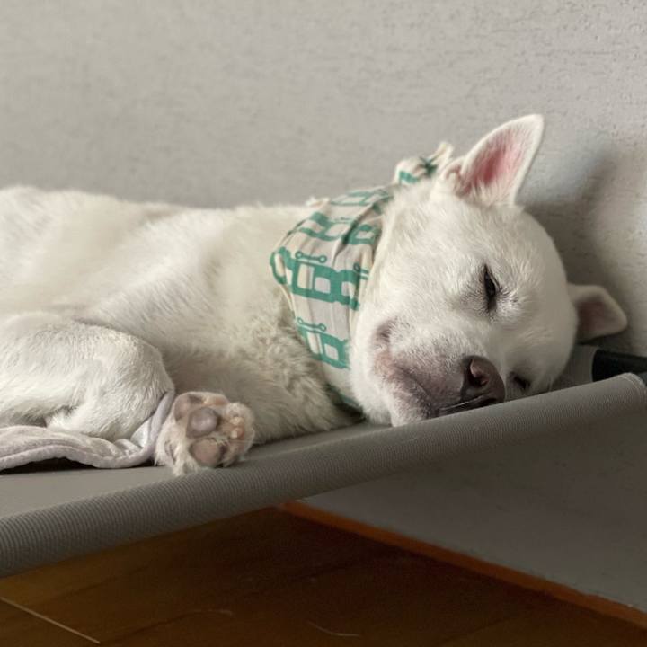 Dde8c55d 4264 41c5 9eb7 744f267e5677 1689940019370