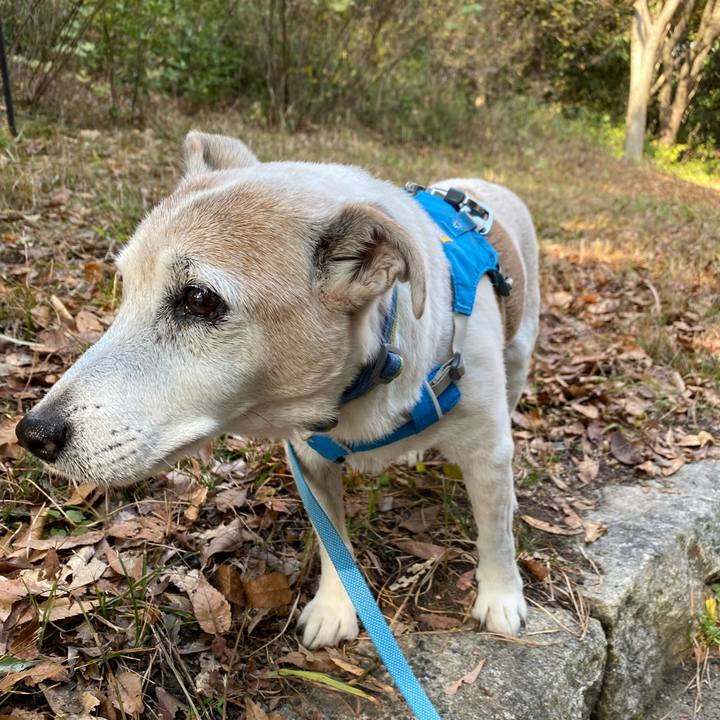 Dde8d316 5e9f 4e98 bc4f b23c106e5807 1700719946143