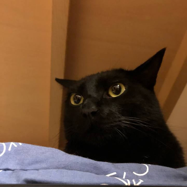 Dde933d5 850c 4bf0 bb26 1bbdb7d749ee 1560163554213