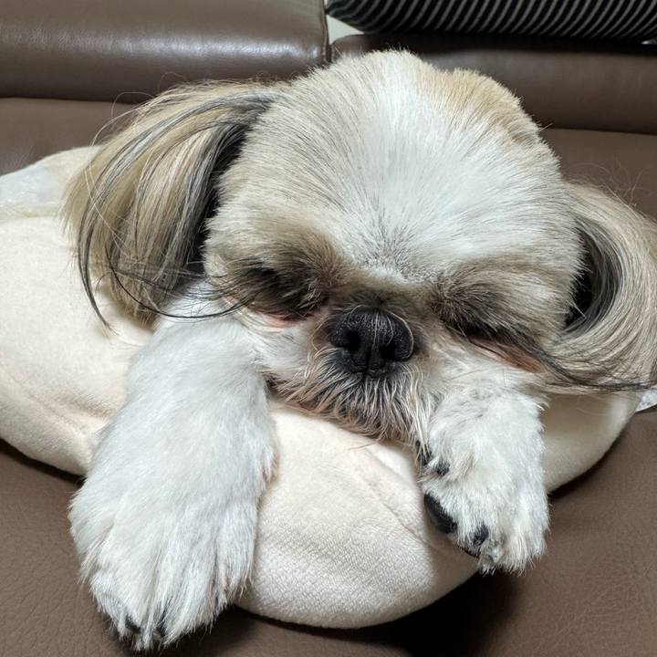 Dde9351a 9af9 4845 b86d 9d6a6328c1b0 1747660373859