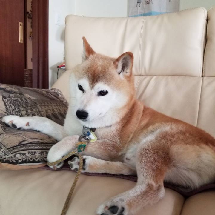 Dde959b2 c7df 46e7 b1b0 747490b74a21 1658726822525