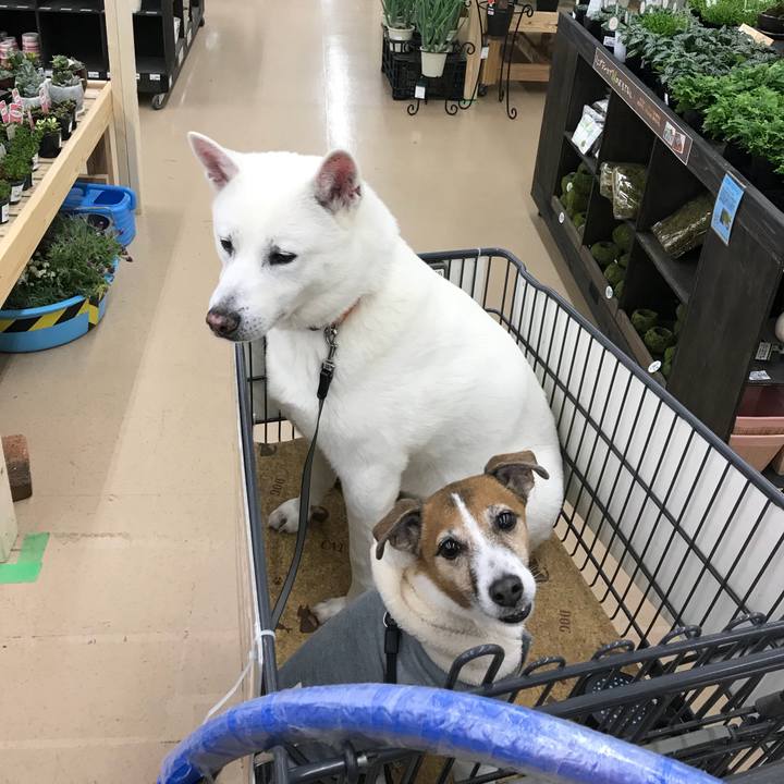 Dde96bd4 9e76 4e22 94c4 5d36ea3fbb45 1520681970550