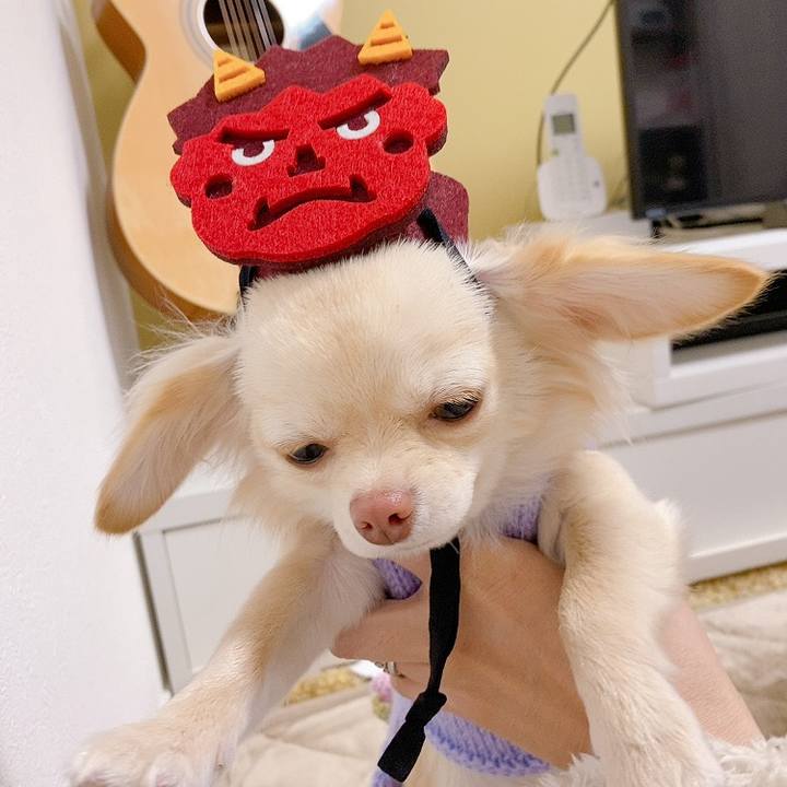 Dde96db9 333a 4d61 8e8b 6d0b5dd2d06e 1612183030822