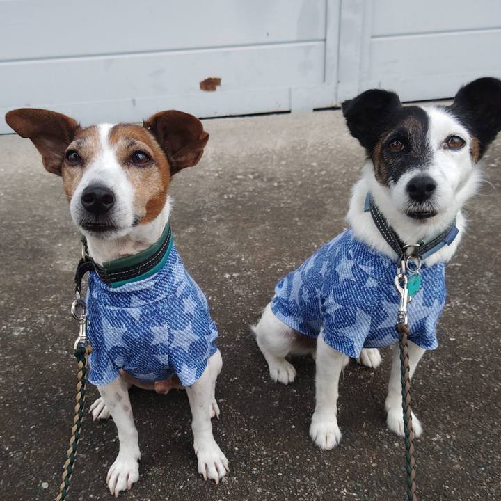 Dde9b7eb 0ed3 4b70 b11c 8a08e0e4d78e 1759095150869