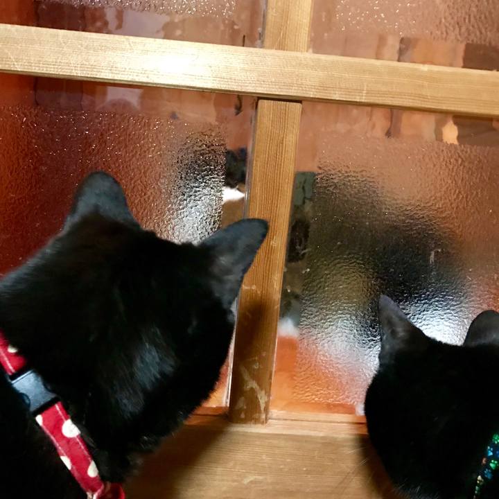 Dde9bfc5 29c4 444d 9f5d bc65282b254e 1509887688900