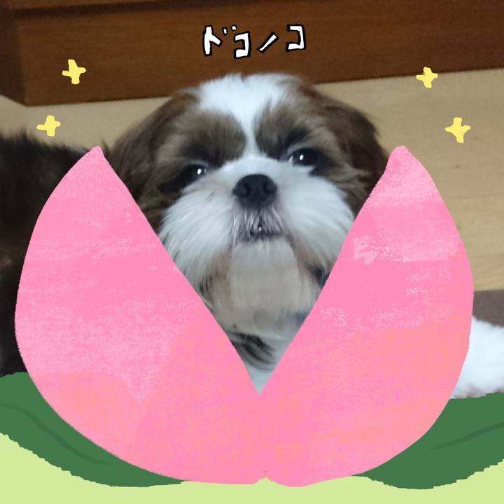 Dde9de2a 8a19 4b55 9809 0656a5ceacd5 1772276429238