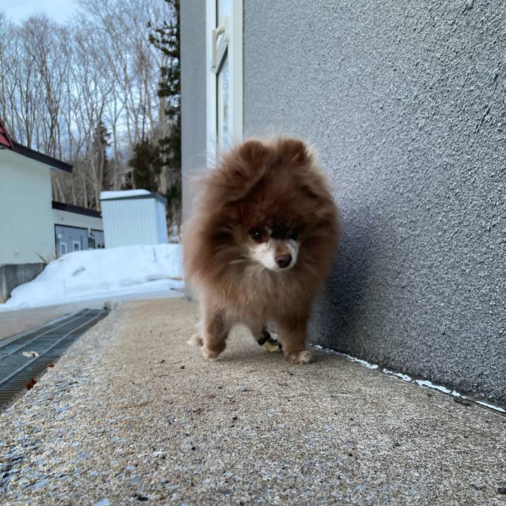 Dde9e138 2d5e 41be b1c2 9c4397a67eff 1738452519961