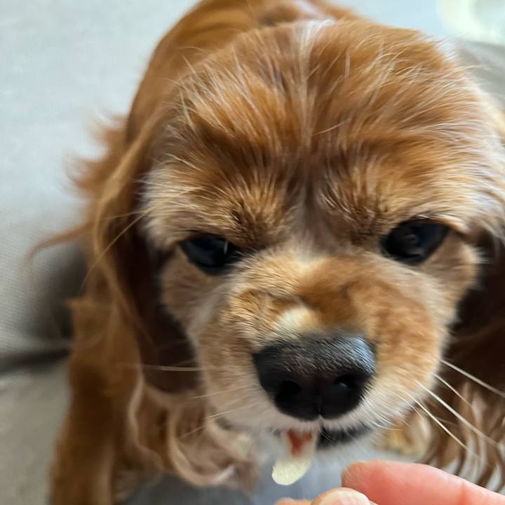 Ddea226b 2e11 4ce8 b4ee 9b7733ed878d 1763538751758