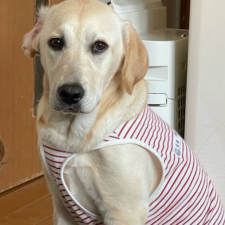 Ddea2283 e205 48fe bada 7499cd00369e 1622339514099