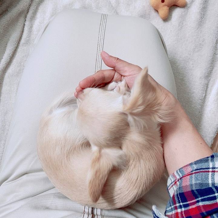 Ddea5bb7 580e 4acd 8a5a 61a2a288c1ac 1594864758542