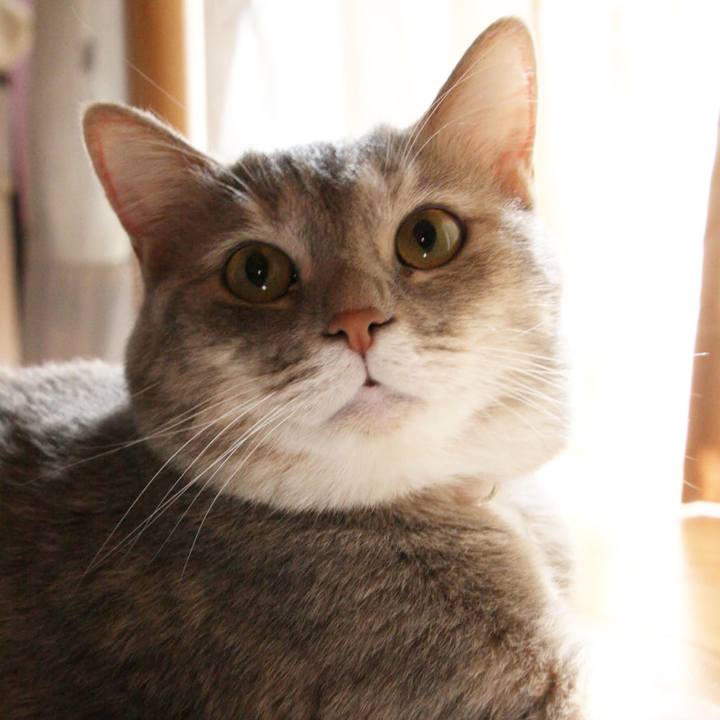 Ddea738b 86e4 4d37 801b e1acad70c482 1533367799965