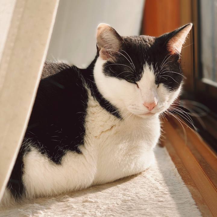 Ddea75de aa12 4760 a751 adeb2947094d 1554341928224