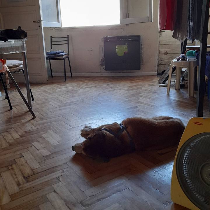 Ddea82cd 7f76 4b6f 85c5 b45a0665444f 1768437909329