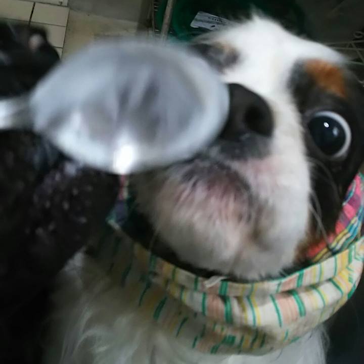 Ddea9fcb 3a91 4a5a 8c50 07fd6e7880b4 1548739844221