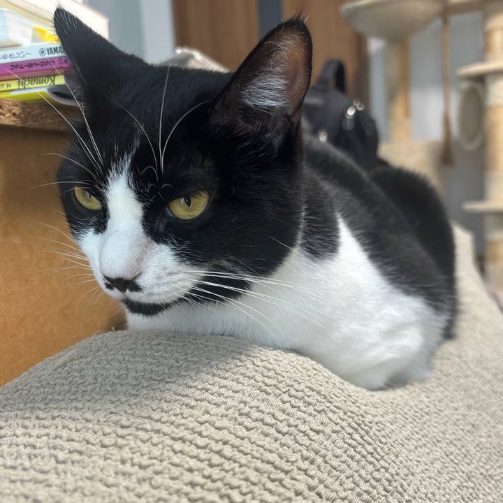 Ddeac0d0 4076 48a6 835a 4452a6c75827 1760235731255